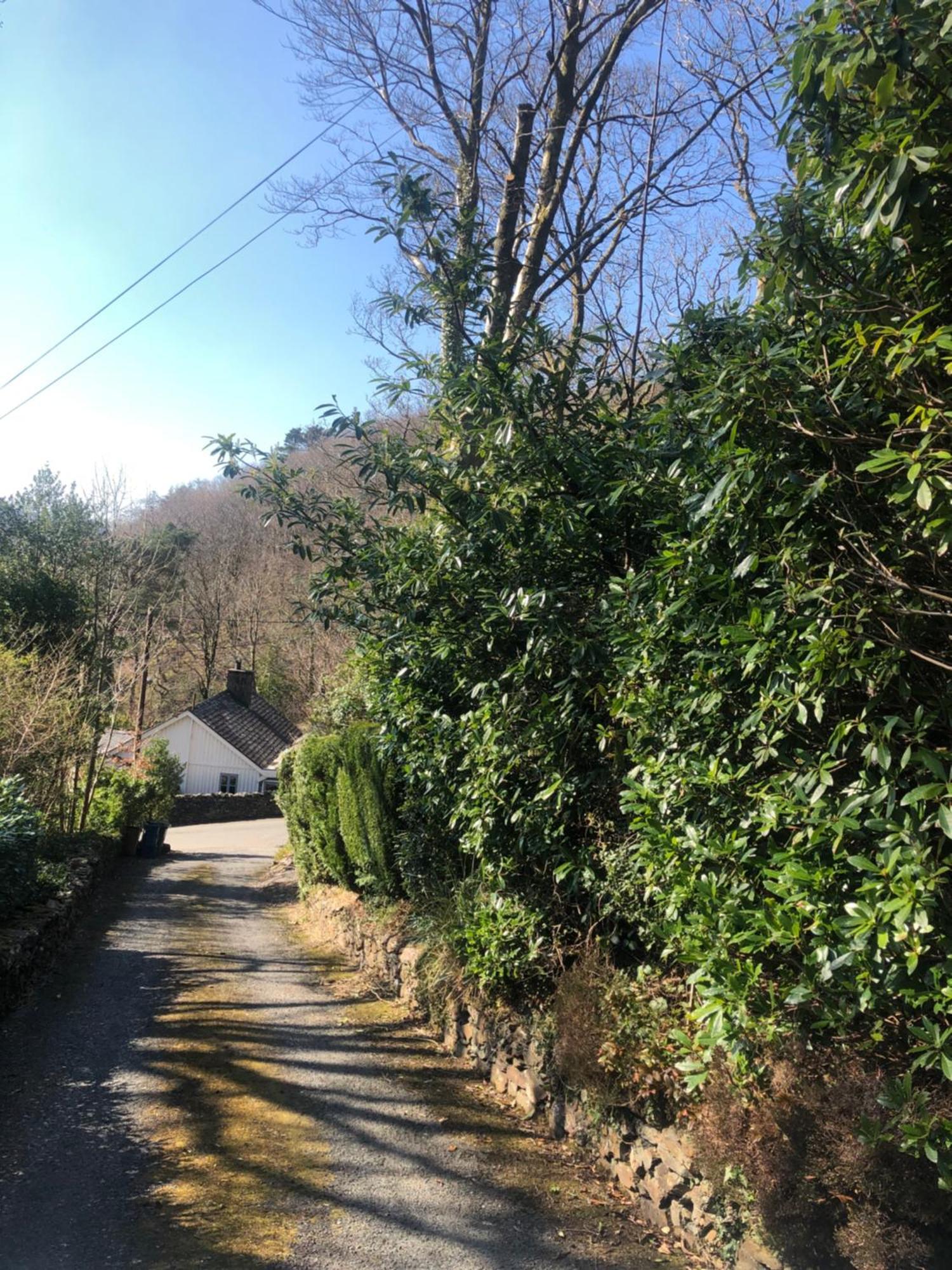 Snowdonia Mawddach Escape Villa Dolgellau Kültér fotó